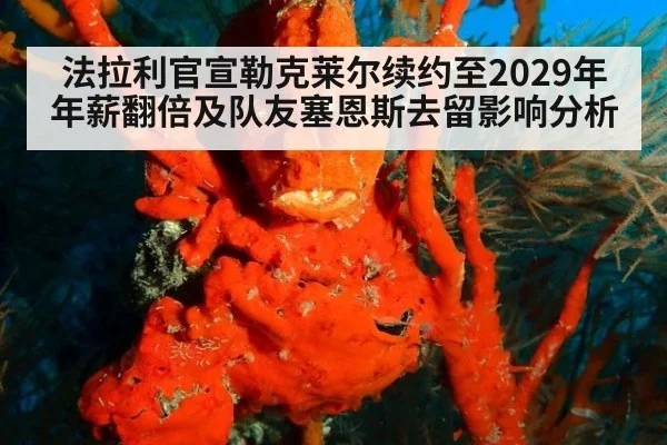 法拉利官宣勒克莱尔续约至2029年年薪翻倍及队友塞恩斯去留影响分析